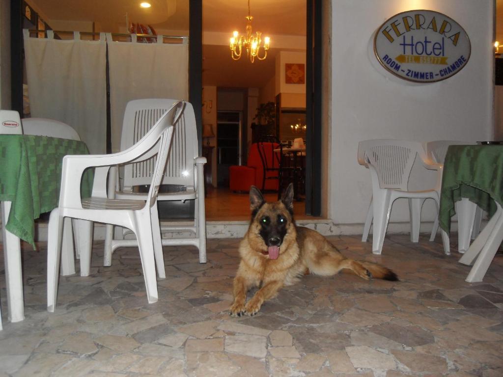 Hotel Ferrara San Benedetto del Tronto Eksteriør billede